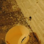 72 Stunden "Haben wir noch mehr ...?"